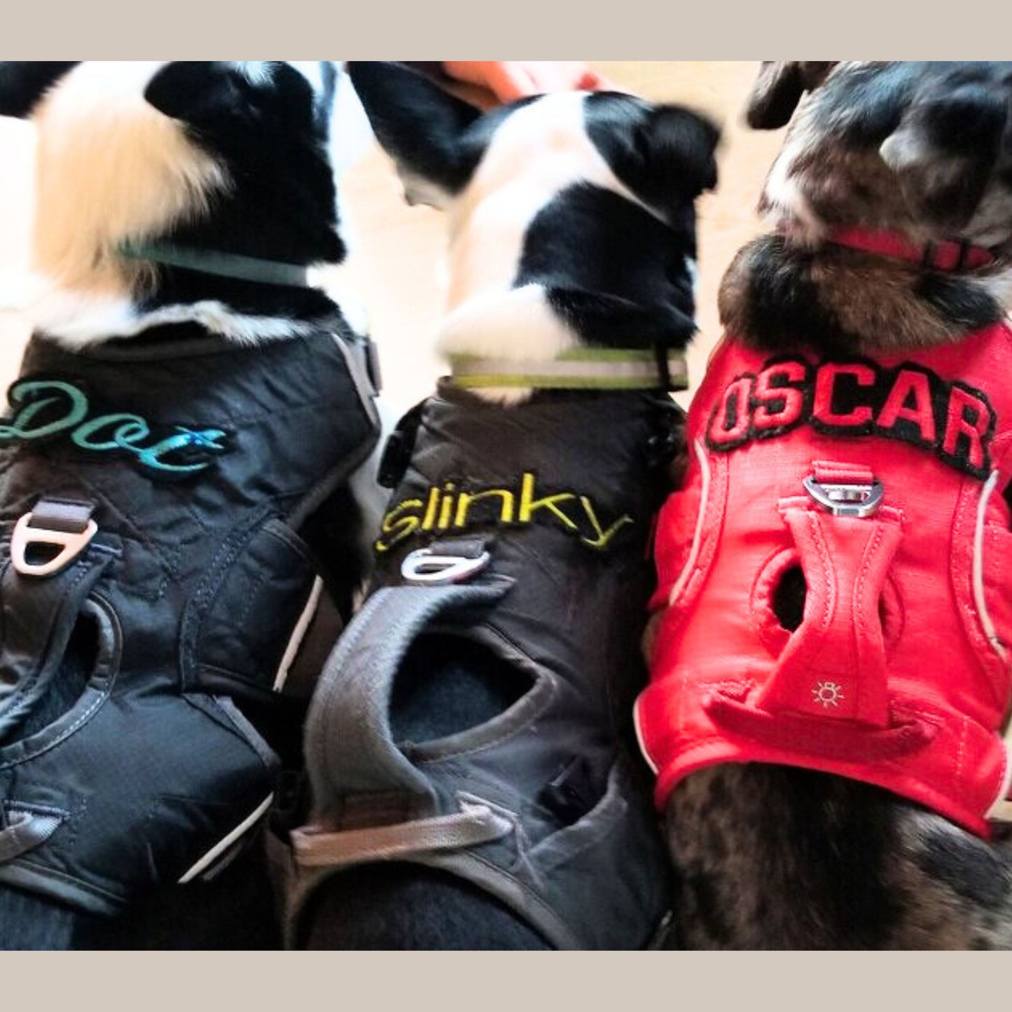 Name Patches with Felt Contour Border